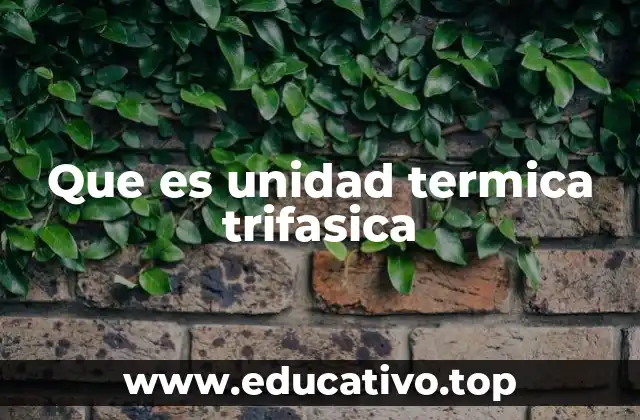 Que es unidad termica trifasica