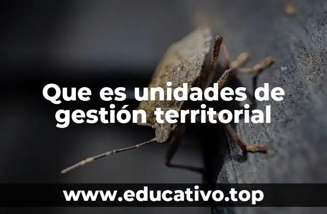 Que es unidades de gestión territorial