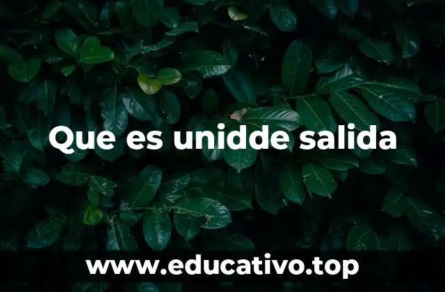 Que es unidde salida