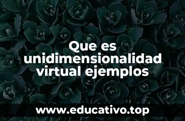 Que es unidimensionalidad virtual ejemplos
