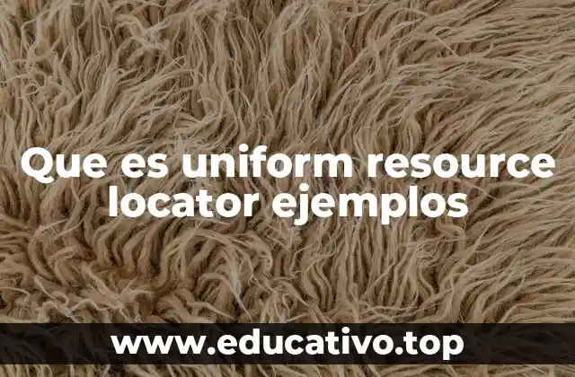 Que es uniform resource locator ejemplos