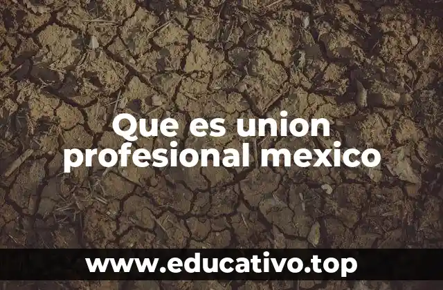 Que es union profesional mexico