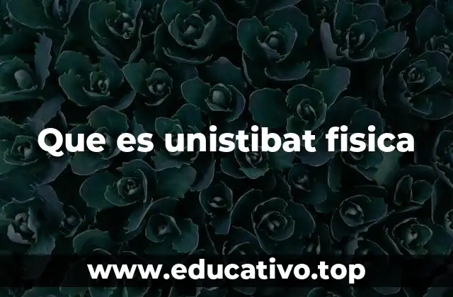 Que es unistibat fisica