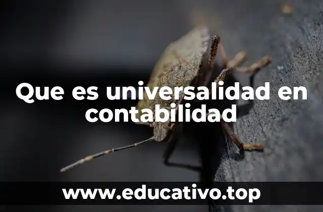 Que es universalidad en contabilidad