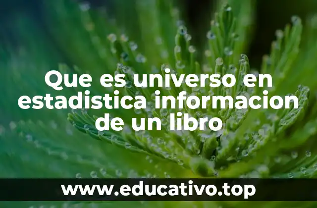 Que es universo en estadistica informacion de un libro