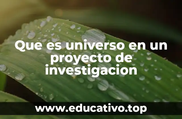 Que es universo en un proyecto de investigacion