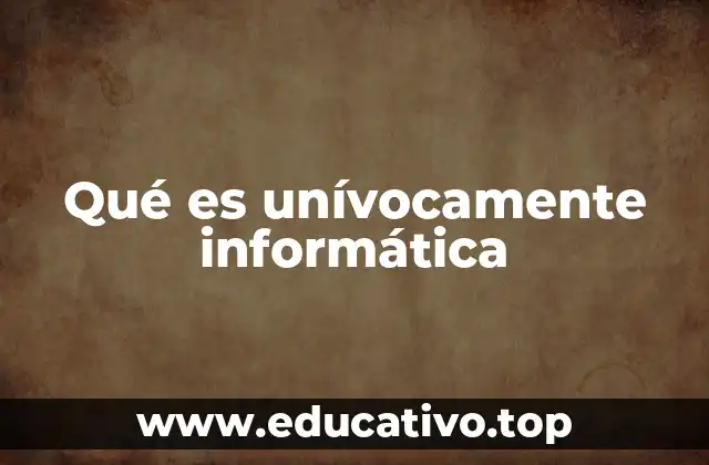 Qué es unívocamente informática