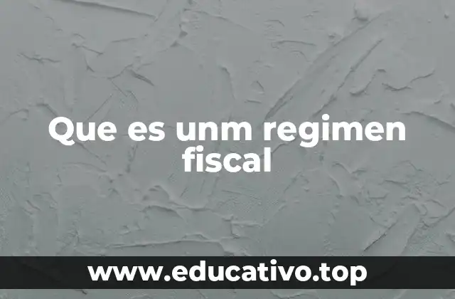 Cómo los regímenes fiscales impactan la vida empresarial