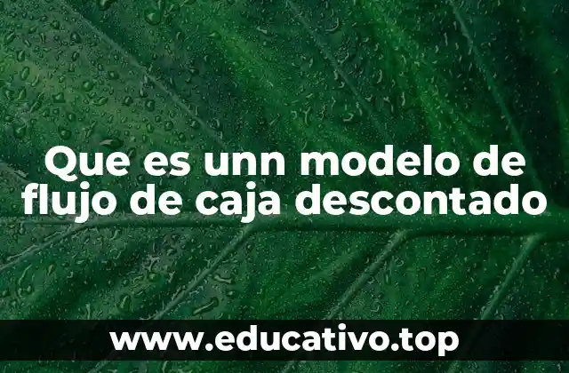 Que es unn modelo de flujo de caja descontado