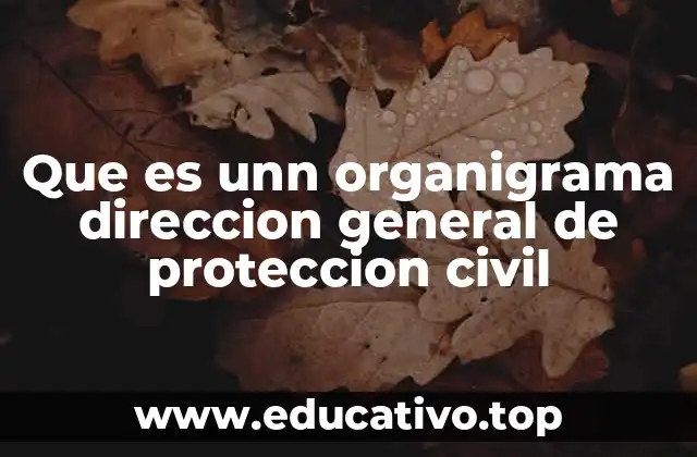 Que es unn organigrama direccion general de proteccion civil