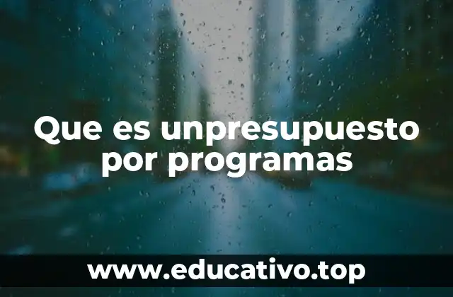 Que es unpresupuesto por programas