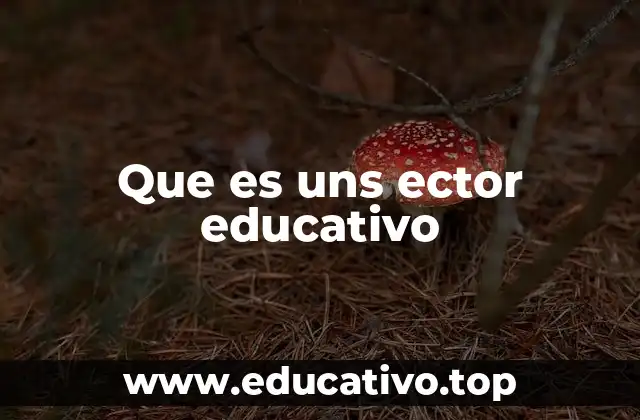Que es uns ector educativo