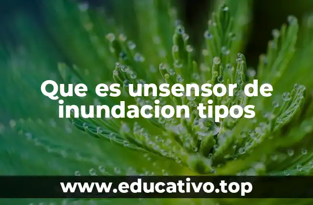 Que es unsensor de inundacion tipos