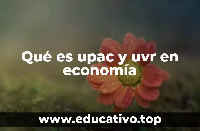 Qué es upac y uvr en economía