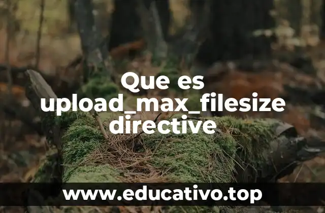 Que es upload_max_filesize directive