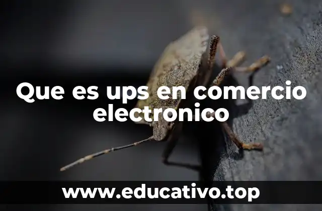 Que es ups en comercio electronico