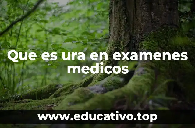 Que es ura en examenes medicos