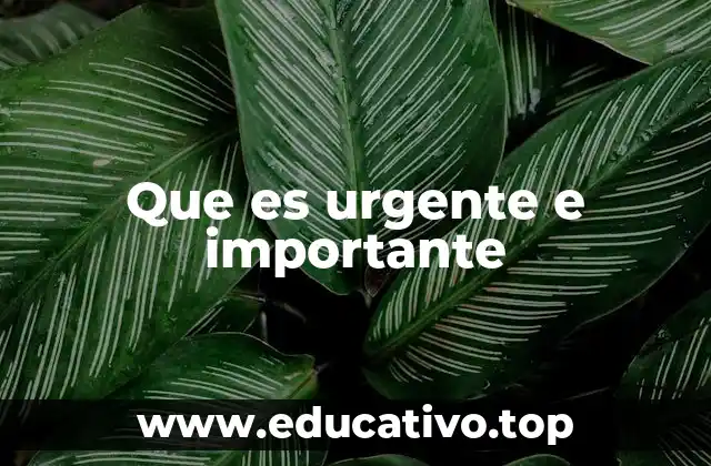 Que es urgente e importante