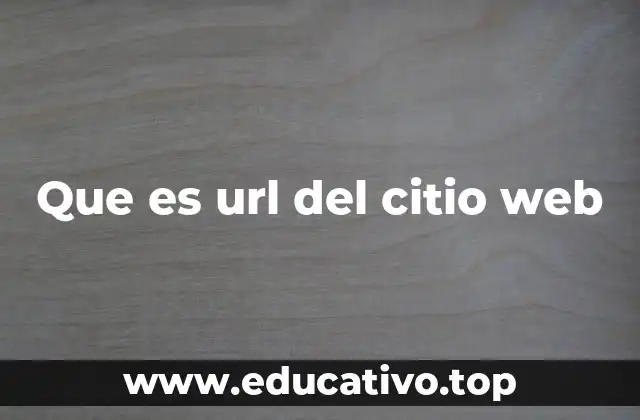 Que es url del citio web