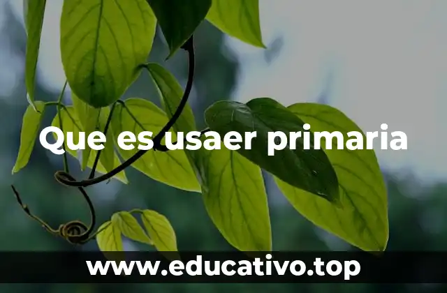 Que es usaer primaria