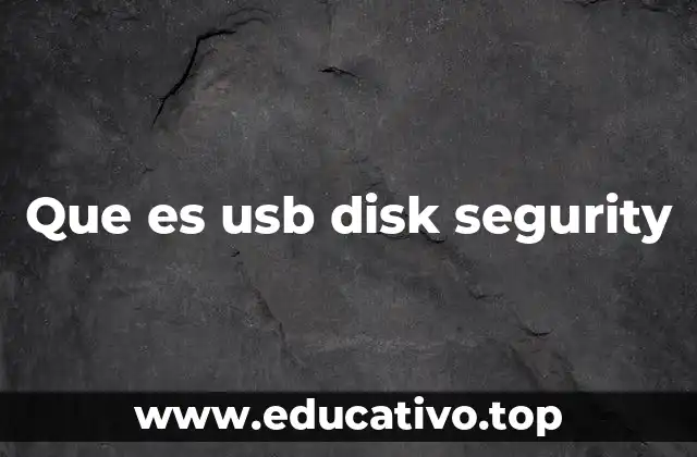 Que es usb disk segurity