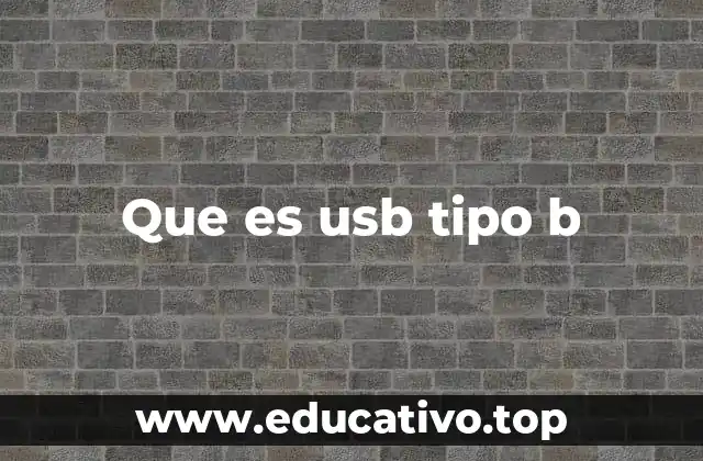 Que es usb tipo b