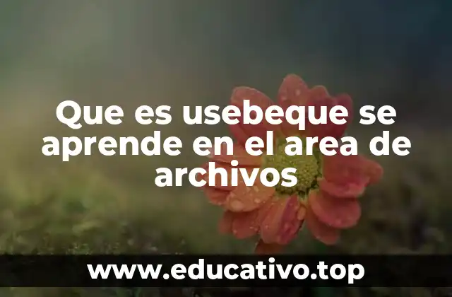 Que es usebeque se aprende en el area de archivos