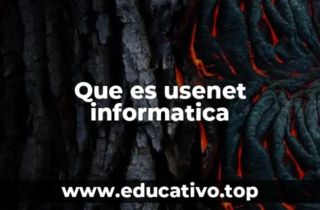 Que es usenet informatica