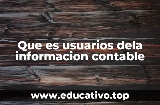 Que es usuarios dela informacion contable