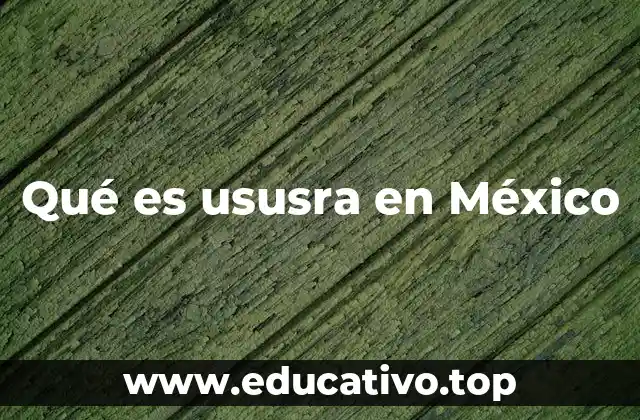 Qué es ususra en México