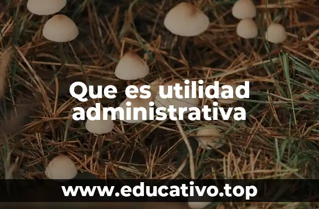 Que es utilidad administrativa