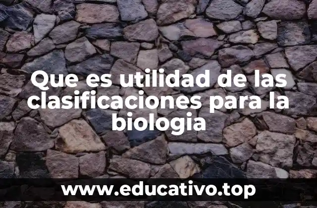 Que es utilidad de las clasificaciones para la biologia