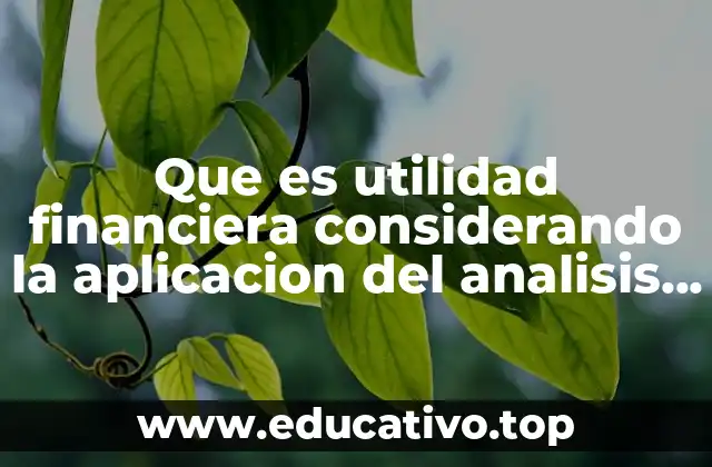 Que es utilidad financiera considerando la aplicacion del analisis financiero