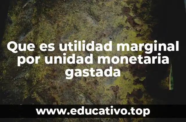 Que es utilidad marginal por unidad monetaria gastada