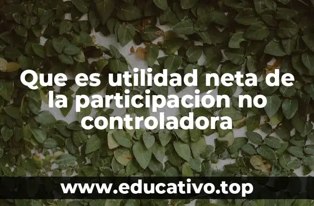 Que es utilidad neta de la participación no controladora