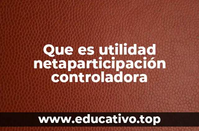 Que es utilidad netaparticipación controladora