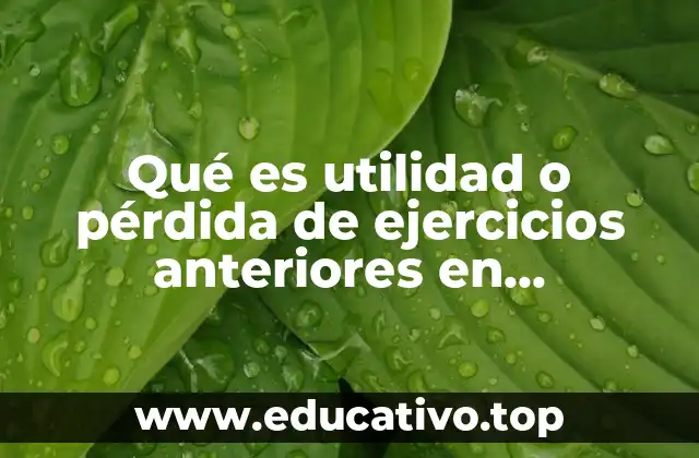 Qué es utilidad o pérdida de ejercicios anteriores en contabilidad