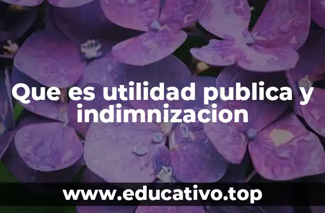 Que es utilidad publica y indimnizacion