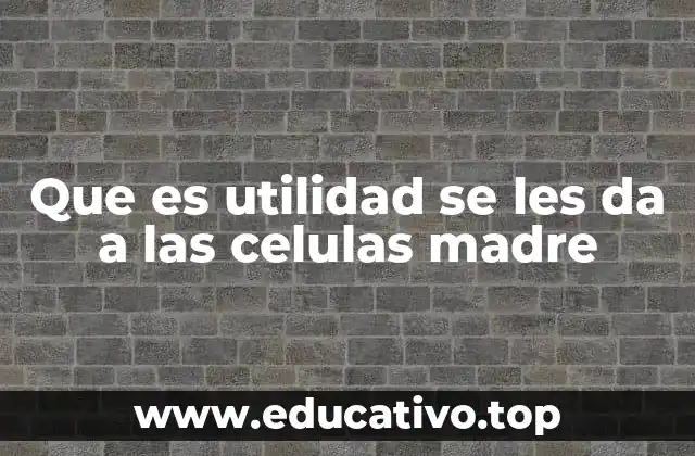 Que es utilidad se les da a las celulas madre