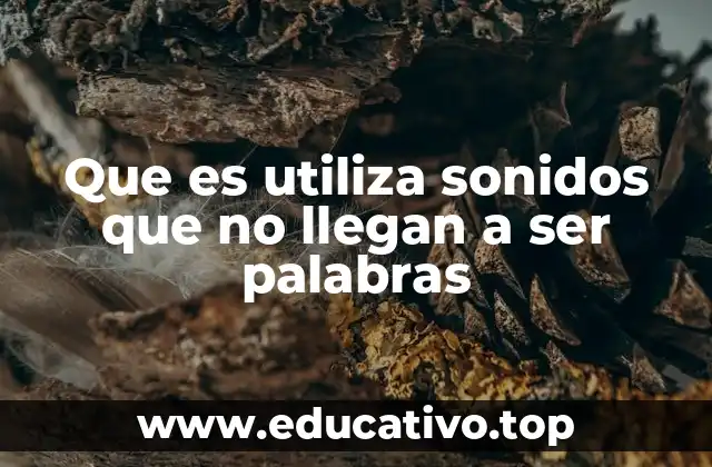 Cómo la comunicación no verbal se apoya en sonidos sin palabras