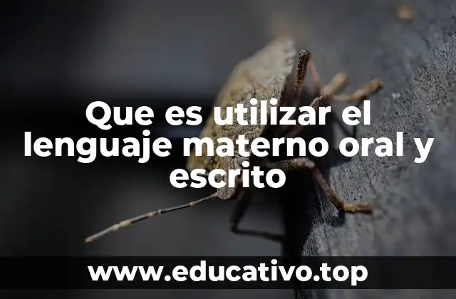 Que es utilizar el lenguaje materno oral y escrito