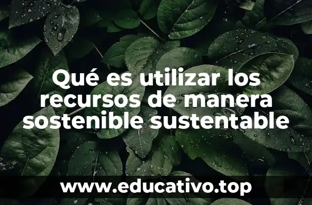Qué es utilizar los recursos de manera sostenible sustentable