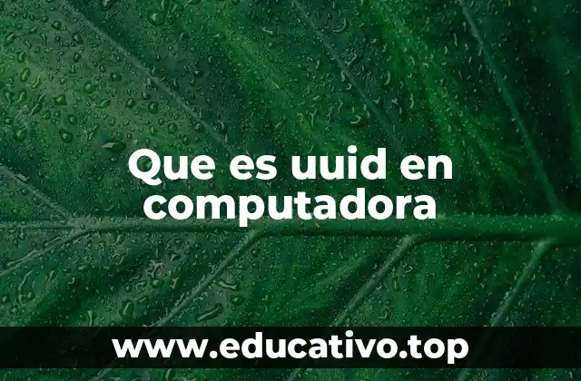 Identificadores únicos en sistemas informáticos