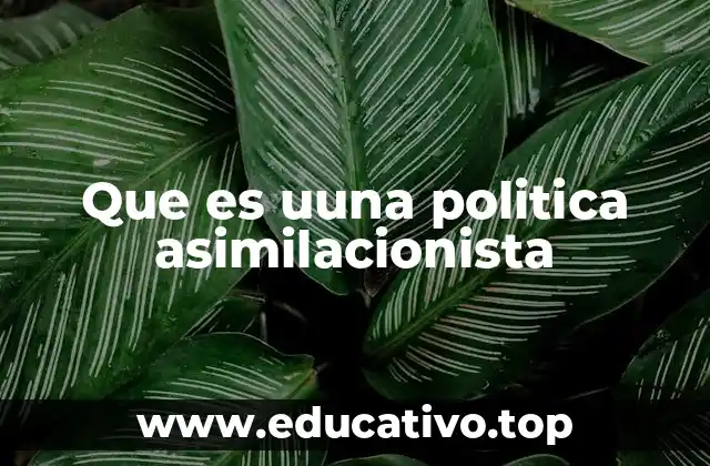 El impacto social de las políticas asimilacionistas