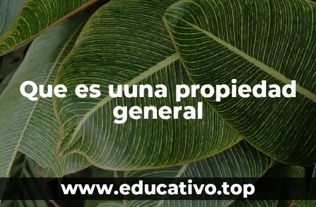 Que es uuna propiedad general