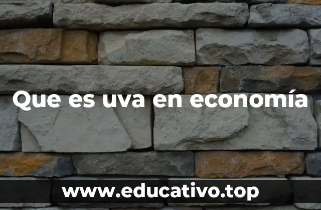 Que es uva en economía