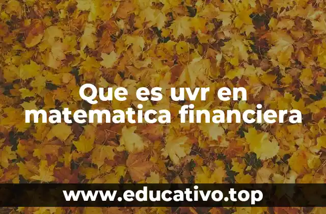 Que es uvr en matematica financiera