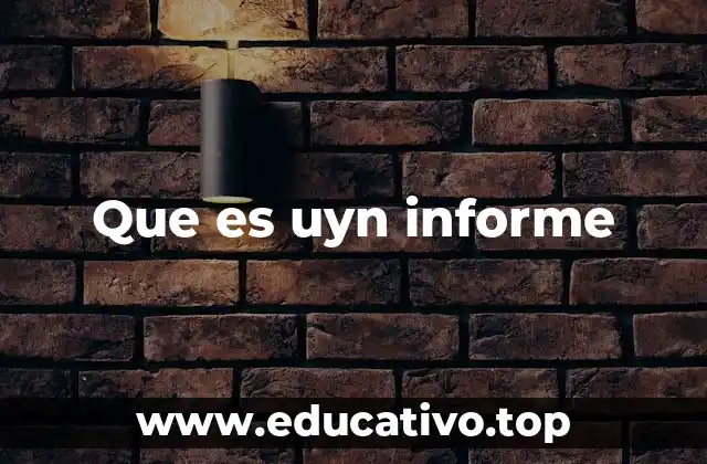 Que es uyn informe