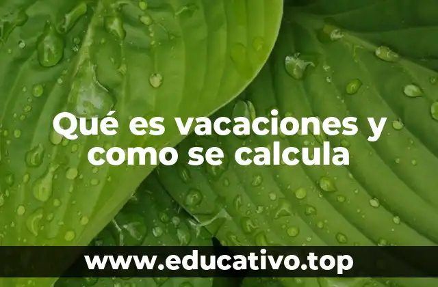 Qué es vacaciones y como se calcula