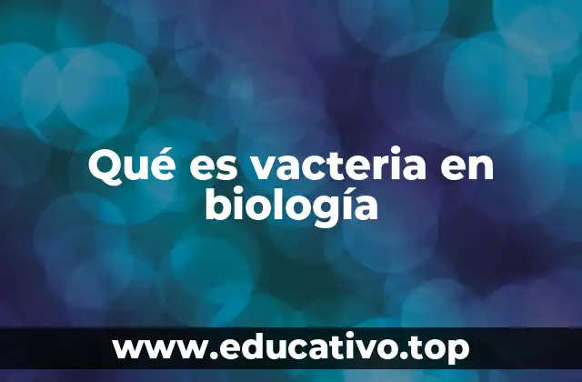 Qué es vacteria en biología